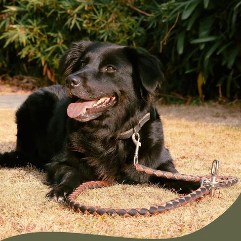 Coziselect Dog Tie Out Stake, 360°Swivel Heavy Duty Dog Stake, Dog Stake for Dogs up to 200 lbs, Dog Stakes for Outdoor, Yard and Camping, Silver in Saudi Arabia