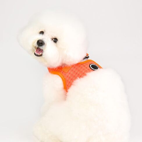 Puppia Bonnie Harness B - Green - M in Saudi Arabia