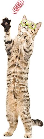 تامو ستايل العاب زنبركية للقطط (30 قطعة)، ملفات بلاستيكية للعب الصحي النشط في الأماكن المغلقة، حلزونات ملونة 2 انش in Kuwait