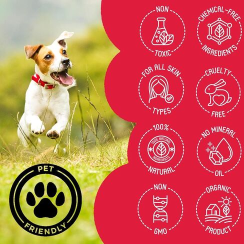 قطرات طبيعية مهدئة للكلاب لتخفيف القلق والتوتر - مكمل غذائي سائل مهدئ للكلاب للانفصال، والسفر، والرعد، والعواصف، وركوب السيارة الهادئة، والعناية - علاج لطيف وشامل لراحة الحيوانات الأليفة، 0.5 أونصة in Kuwait