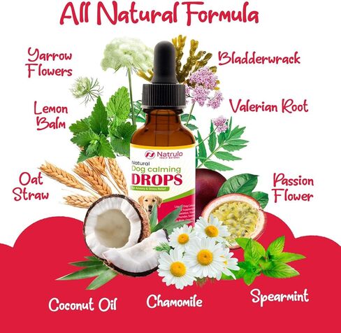 قطرات طبيعية مهدئة للكلاب لتخفيف القلق والتوتر - مكمل غذائي سائل مهدئ للكلاب للانفصال، والسفر، والرعد، والعواصف، وركوب السيارة الهادئة، والعناية - علاج لطيف وشامل لراحة الحيوانات الأليفة، 0.5 أونصة in Kuwait
