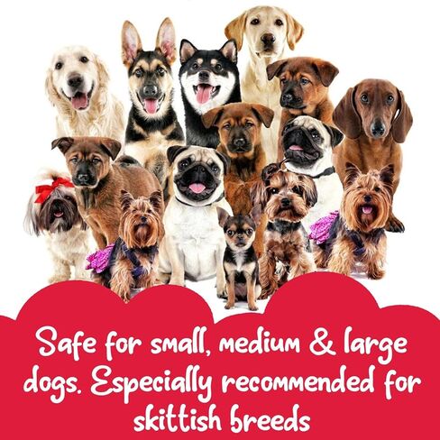 قطرات طبيعية مهدئة للكلاب لتخفيف القلق والتوتر - مكمل غذائي سائل مهدئ للكلاب للانفصال، والسفر، والرعد، والعواصف، وركوب السيارة الهادئة، والعناية - علاج لطيف وشامل لراحة الحيوانات الأليفة، 0.5 أونصة in Kuwait