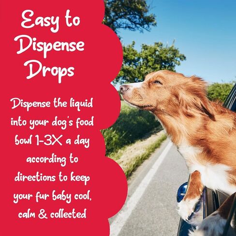 قطرات طبيعية مهدئة للكلاب لتخفيف القلق والتوتر - مكمل غذائي سائل مهدئ للكلاب للانفصال، والسفر، والرعد، والعواصف، وركوب السيارة الهادئة، والعناية - علاج لطيف وشامل لراحة الحيوانات الأليفة، 0.5 أونصة in Kuwait