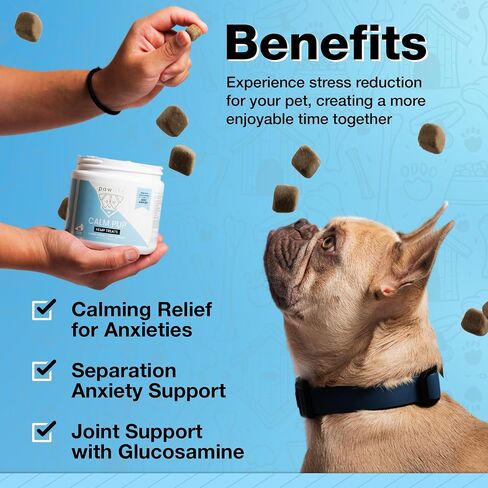 مضغ مهدئ بزيت القنب العضوي من pawlife لقلق الكلاب - أساسيات الكلاب للتخفيف من السفر والرعد والانفصال والنباح والألعاب النارية وآلام المفاصل والتهاب المفاصل ودعم الألم الجرو الهادئ in Kuwait