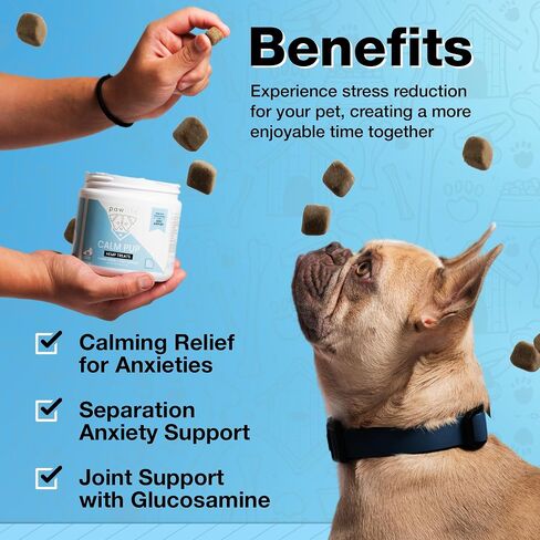 مضغ مهدئ بزيت القنب العضوي من pawlife لقلق الكلاب - أساسيات الكلاب للتخفيف من السفر والرعد والانفصال والنباح والألعاب النارية وآلام المفاصل والتهاب المفاصل ودعم الألم الجرو الهادئ in Kuwait
