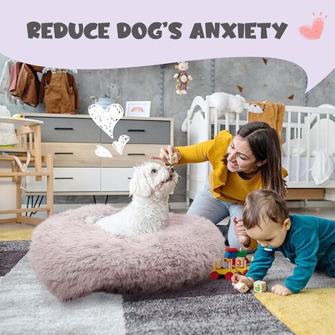 Himax Small Cat & Dog Bed with Cover, Calming Dog Bed for Small Dogs,Anti-Anxiety Donut Dog Bed with Attached Blanket,Washable Round Fluffy Pet Bed (20"/26"/35"), Light Grey in Kuwait