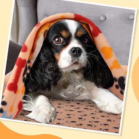 Preboun 50 Pack 24 x 28 Inch Dog Blankets with Paw Print, Soft Fleece Pets Blanket Sleep Mat Pad Bed Cover for Dogs Cats Puppy Kitten Guinea Pig and Other Small Animals, 25 Styles in Saudi Arabia