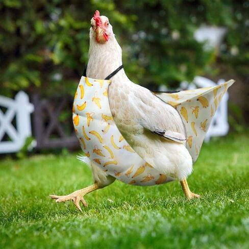 3 قطع حفاضات دجاجة للحيوانات الأليفة من كرافت شو، حفاضات البطة على شكل بطة، قابلة للغسل في الغسالة، حفاضات للحيوانات الأليفة برباط عنق قابلة لإعادة الاستخدام in Kuwait