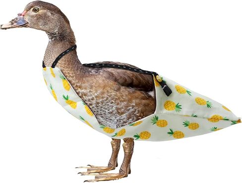 3 قطع حفاضات دجاجة للحيوانات الأليفة من كرافت شو، حفاضات البطة على شكل بطة، قابلة للغسل في الغسالة، حفاضات للحيوانات الأليفة برباط عنق قابلة لإعادة الاستخدام in Kuwait