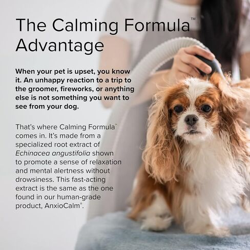 Terry Naturally Animal Health Calming Formula - 45 Tablets - Promotes Calm & Relaxation for Dogs - Non-GMO - 45 Servings in Saudi Arabia