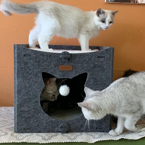 Cat Bed for Indoor Cats Cube House, Covered Cat Cave Beds & Furniture, Kitty Hideaway Tent Enclosed Kitten Cave with Dangling Toy and Soft Cushions in Kuwait