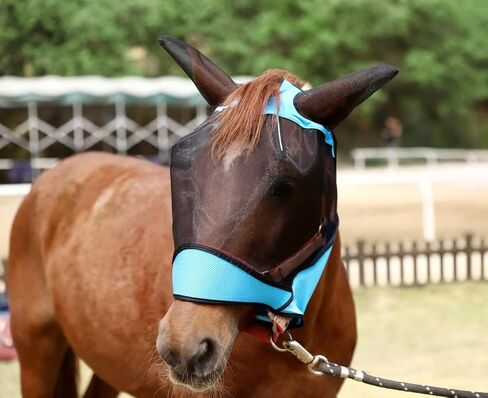 قناع ذبابة الحصان من أنكاير - قناع حماية من الأشعة فوق البنفسجية مع شبكة للأذنين، فتحة مقدمة وتصميم شريط عاكس، قناع قابل للتمدد لشبكة دقيقة قابلة للتنفس للحصان، سهام العين، خطاف وحلقة، (اللون الأزرق) in Kuwait