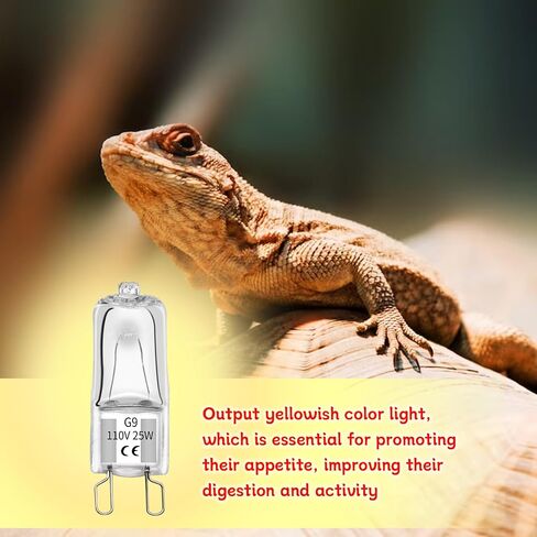 G9 Heat Lamp Bulbs for Reptiles and Amphibian Tanks,2 Pin Base Mini G9 Halogen Bulbs 25w 120v, Warm White UVA Reptile Heat Lamp for Bearded Dragon Turtle Lizard (5, 40 W) in Kuwait