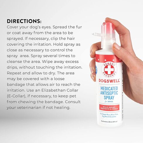 DOGSWELL Remedy + Recovery Medicated Antiseptic Spray for Dogs, 4 oz. (Packaging May Vary) in Kuwait