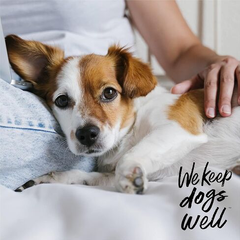 DOGSWELL Remedy + Recovery Medicated Antiseptic Spray for Dogs, 4 oz. (Packaging May Vary) in Kuwait