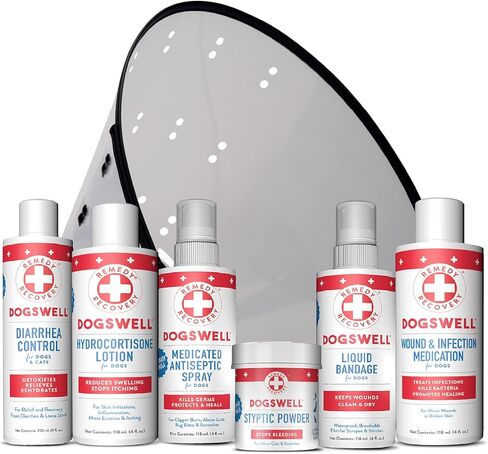 DOGSWELL Remedy + Recovery Medicated Antiseptic Spray for Dogs, 4 oz. (Packaging May Vary) in Kuwait