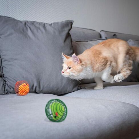 TikoiGou 6 قطع كرات زنبركية للقطط، ألعاب قطط مرحة ملونة، ألعاب تفاعلية للقطط قابلة للتمدد، ألعاب زنبركية مدمجة من القطيفة، مستلزمات الحيوانات الأليفة، لعب داخلي ستة in Kuwait