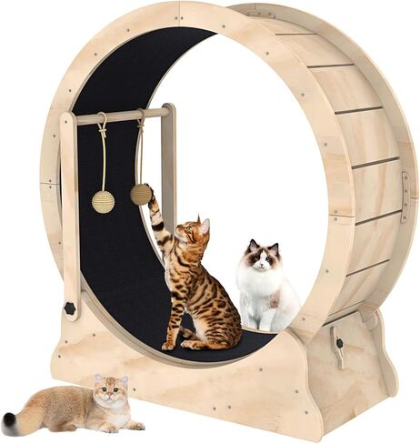 Cat Wheel, Cat Exercise Wheel with Cat Teaser, Cat Running Wheel Treadmill with Carpeted Runway and Cat Teaser, Fitness Weight Loss Device Cute Cat Furniture, Pet Toy, Cat Toy in Kuwait