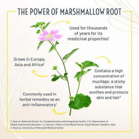 Dog Detangler Spray - Vegan, Made in The US - Detangler Spray for Matted Hair with Marshmallow Root and Vegan Silk Protein - Goldendoodle Detangler Spray for Doodles, Dematting Spray for Dogs in Kuwait