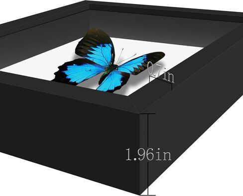 Picrit 8.5x11 Shadow Box Frame, Display Case Box with High Definition Real Glass and Black Back for Memorabilia, Baby Items, Wedding Memories, Crafts, Tickets and Photos, Black in Kuwait