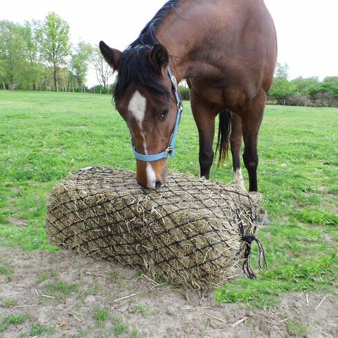 Derby Originals 90" XX-Large Slow Feed Hay Bale Net Holds 1-2 Full Bales of Hay for Horses and Goats in Saudi Arabia