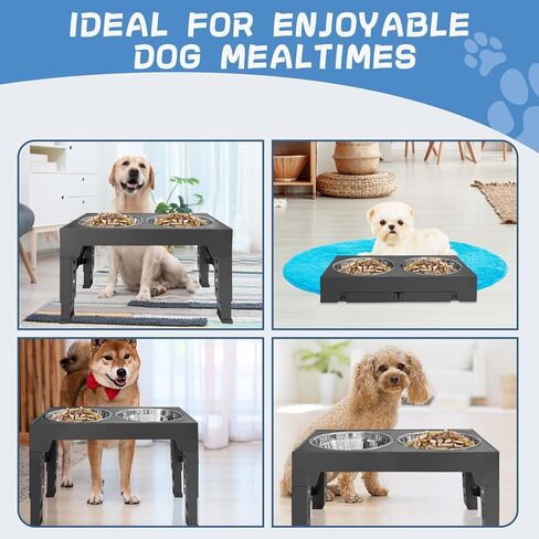 STUDESK Elevated Dog Bowls with 2 Stainless Steel Adjustable Height Dog Food Bowls in Kuwait