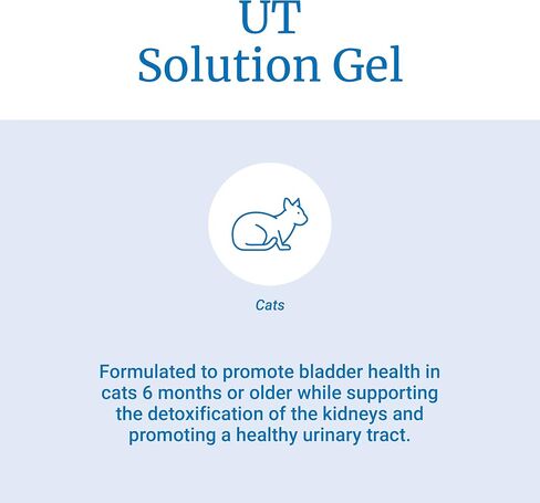 PetAg UT Solution Gel Supplement - Kidney Support for Cats - Contains Cranberry & Vitamin C - 3.5 oz - 2 Pack in Saudi Arabia