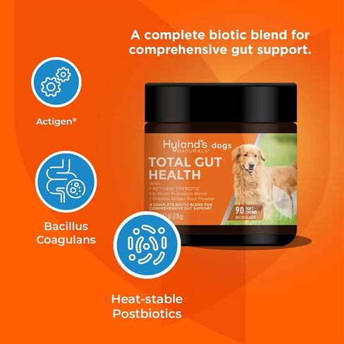 Hyland's Naturals - Probiotics for Dogs - Total Gut Health, 90 Soft Chews, with ACTIGEN PREBIOTIC & Organic Ginger Root, Bacon Flavor in Saudi Arabia
