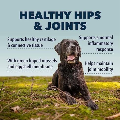 Four Leaf Rover Hip & Joint - Mobility & Joint Support with Glucosamine and Chondroitin for Dogs, 2.4 oz - 22 to 60 Day Supply, Depending on Dog’s Weight - Vet Formulated - Easy to Mix - Delicious in Saudi Arabia