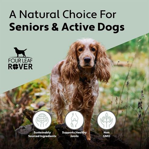 Four Leaf Rover Hip & Joint - Mobility & Joint Support with Glucosamine and Chondroitin for Dogs, 2.4 oz - 22 to 60 Day Supply, Depending on Dog’s Weight - Vet Formulated - Easy to Mix - Delicious in Saudi Arabia