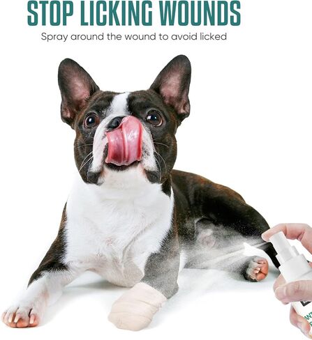 Inscape Data No Chew Spray for Dogs, Effective Bitter Spray for Dogs to Stop Chewing Christmas Tree & Furniture & Curtains - Alcohol Free, Indoor & Outdoor Use in Kuwait