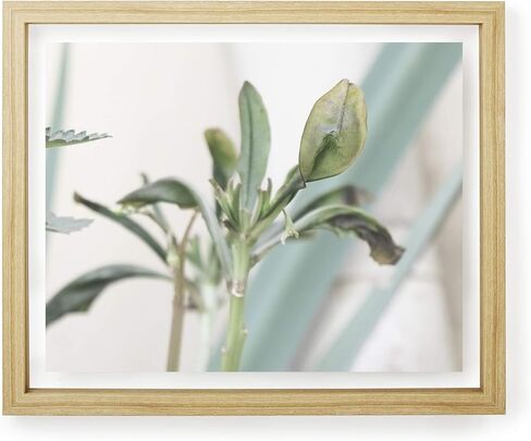 إطار وثيقة Umbra مقاس 13x16 بوصة - إطار صورة حديث مصمم لعرض وثيقة عائمة مقاس 11x14 أو دبلوم أو شهادة أو صورة أو عمل فني (أسود) in Saudi Arabia