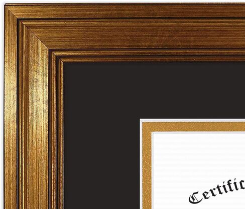 Golden State Art, 11x14 Dark Gold Document Frame for 8.5x11 Diploma/Certificate, Sawtooth Hangers for Wall Mounting with Real Glass (Black/Gold Double Mat, 2-Pack) in Saudi Arabia