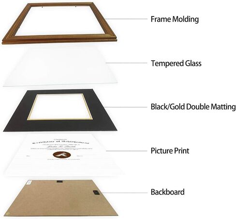 Golden State Art, 11x14 Dark Gold Document Frame for 8.5x11 Diploma/Certificate, Sawtooth Hangers for Wall Mounting with Real Glass (Black/Gold Double Mat, 2-Pack) in Saudi Arabia