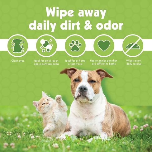 Petkin Bamboo Eco Eyewipes, 80 Count in Kuwait