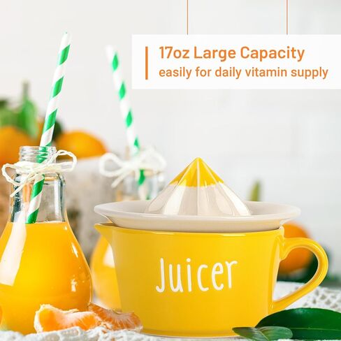 عصارة ليمون من السيراميك، عصارة ليمون يدوية، 17 اونصة، عصارة برتقال يدوية بمقبض وفوهة سهلة الصب، عصارة ليمون رائعة مناسبة للهدايا | اداة مطبخ، شديدة التحمل in Kuwait