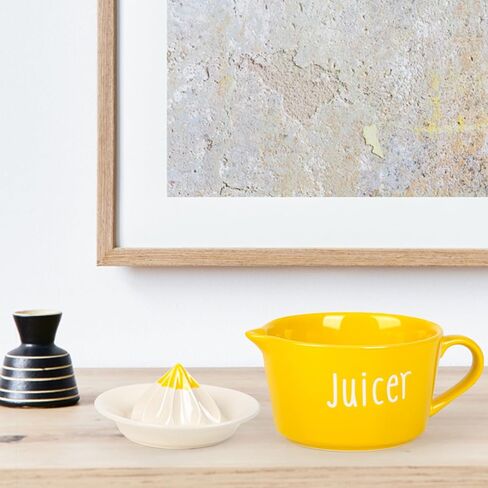 عصارة ليمون من السيراميك، عصارة ليمون يدوية، 17 اونصة، عصارة برتقال يدوية بمقبض وفوهة سهلة الصب، عصارة ليمون رائعة مناسبة للهدايا | اداة مطبخ، شديدة التحمل in Kuwait