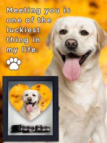 إطار تذكاري للحيوانات الأليفة من Bigmeta - صندوق ظل تذكاري خشبي للحيوانات الأليفة يُثبت على الحائط، إطار لتذكر الكلاب، هدايا تعاطف للحيوانات الأليفة لأصحاب الحيوانات الأليفة بسبب فقدان الكلاب والقطط وأطواق الصور والألعاب المفضلة in Kuwait