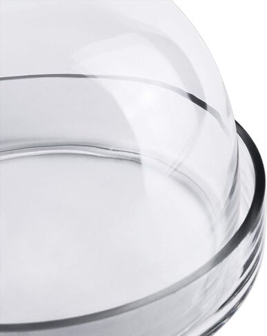 CYS EXCEL Bell Dome Cloche بقاعدة زجاجية (الارتفاع: 7.5 بوصة العرض: 8 بوصة) | خيارات متعددة الحجم لعرض حلوى الكيك | غطاء نبات جرة تررم in Kuwait