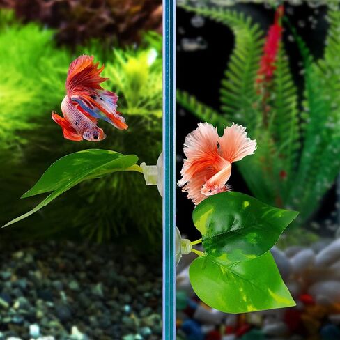 Noodoky Betta Leaf Hammock Silicone Peace Plant Accessories, Beta Fish Leaf Rest Pad Bed, Beta Tank Decorations (1-Pack) in Kuwait