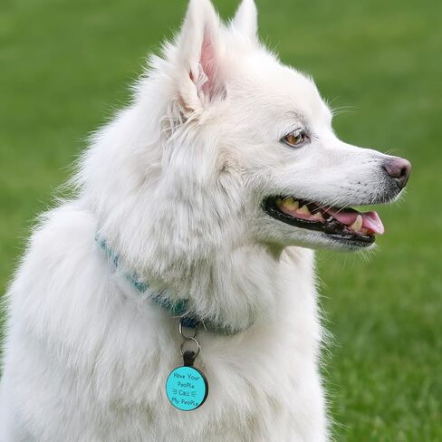 MYLUCKYTAG QR Code Silicone Pet ID Tag Dog Cat Tag, Online Pet Profile, Pet Location Alert Email, Digital Pet Tag, Quiet Dog Tag, Durable Pet ID, Dog Collar Tag, Engraved Pet Tag in Kuwait