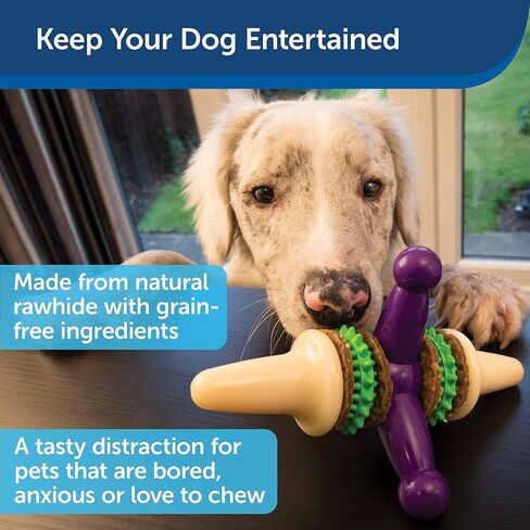 PetSafe Busy Buddy Treat Holding Jack Dog Toy – Strong Chewers - Challenging - Treat Rings Included - Large in Saudi Arabia