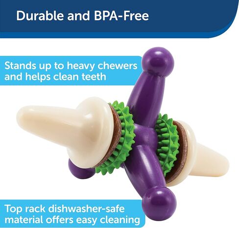 PetSafe Busy Buddy Treat Holding Jack Dog Toy – Strong Chewers - Challenging - Treat Rings Included - Large in Saudi Arabia