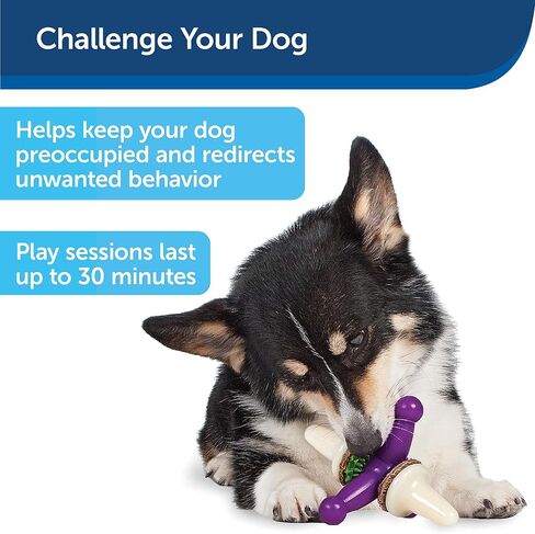 PetSafe Busy Buddy Treat Holding Jack Dog Toy – Strong Chewers - Challenging - Treat Rings Included - Large in Saudi Arabia