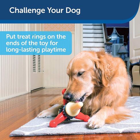 PetSafe Busy Buddy Treat Holding Jack Dog Toy – Strong Chewers - Challenging - Treat Rings Included - Large in Saudi Arabia