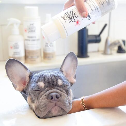 SKOUT'S HONOR: Probiotic Shampoo + Conditioner for a Healthier Skin and Coat - Dog of the Woods, 16 oz. in Saudi Arabia
