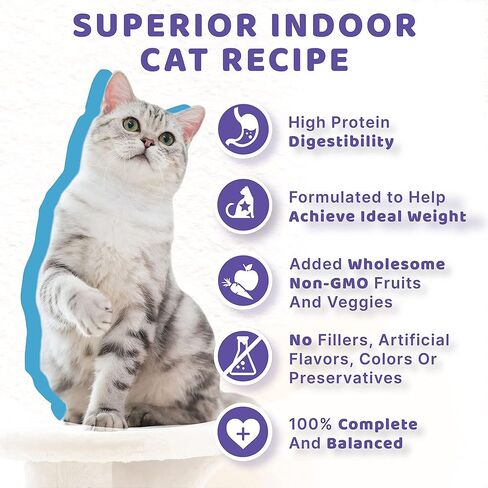 Halo Indoor Wet Cat Food, 5.5oz Can (Pack of 12) in Kuwait