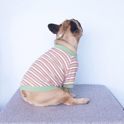 تي شيرت iChoue French Bulldog عالي التمدد للكلاب المتوسطة الحجم الكبيرة Frenchie Pug English Pitbull Boston Terrier شريط أزرق - L in Kuwait