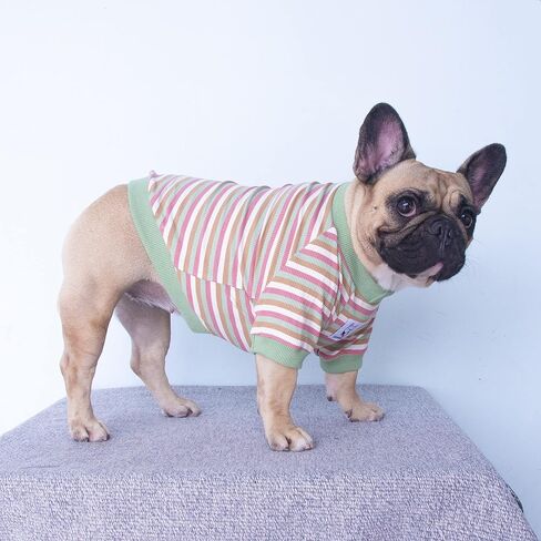 تي شيرت iChoue French Bulldog عالي التمدد للكلاب المتوسطة الحجم الكبيرة Frenchie Pug English Pitbull Boston Terrier شريط أزرق - L in Kuwait