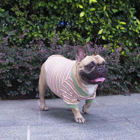 تي شيرت iChoue French Bulldog عالي التمدد للكلاب المتوسطة الحجم الكبيرة Frenchie Pug English Pitbull Boston Terrier شريط أزرق - L in Kuwait